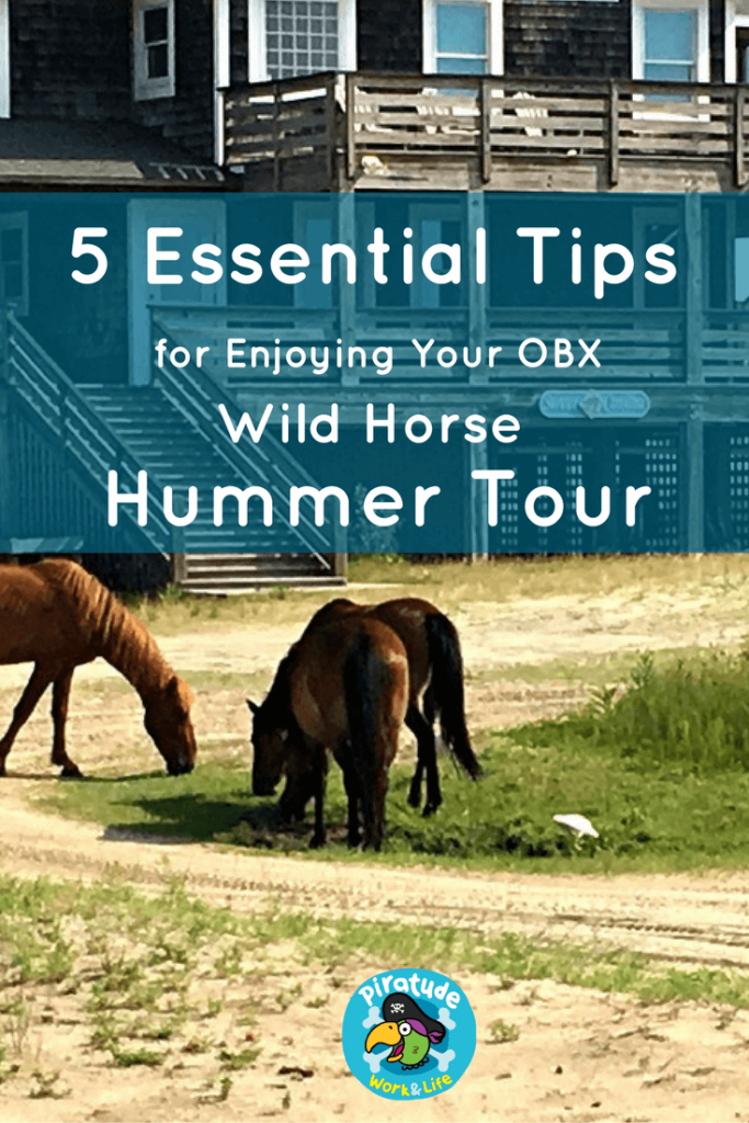 wild-horse-hummer-tour-pinterest-graphic