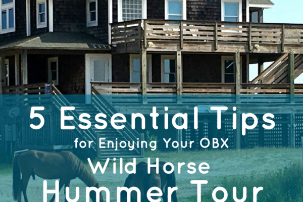 Wild-Horse-Hummer-Tour-Title